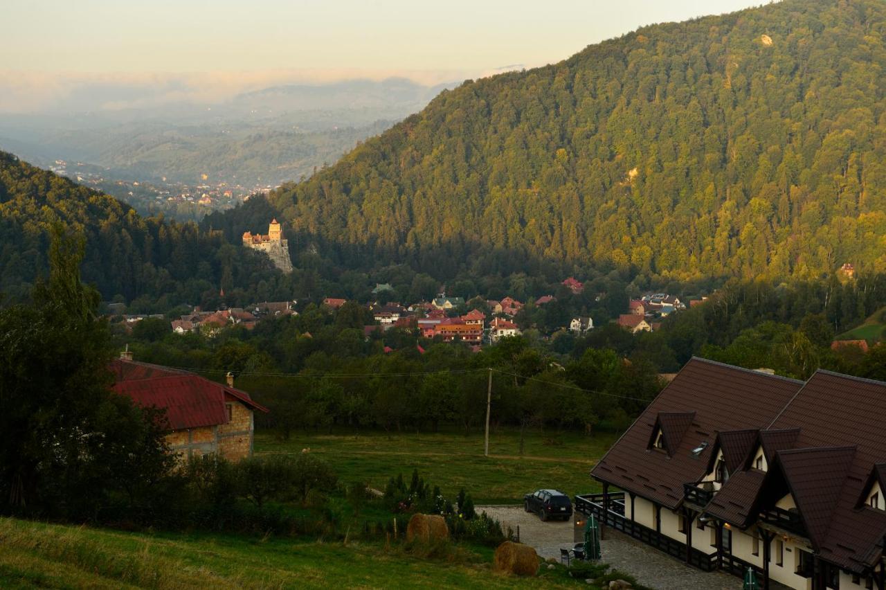 Contele Vladimir Hotel Törcsvár Kültér fotó