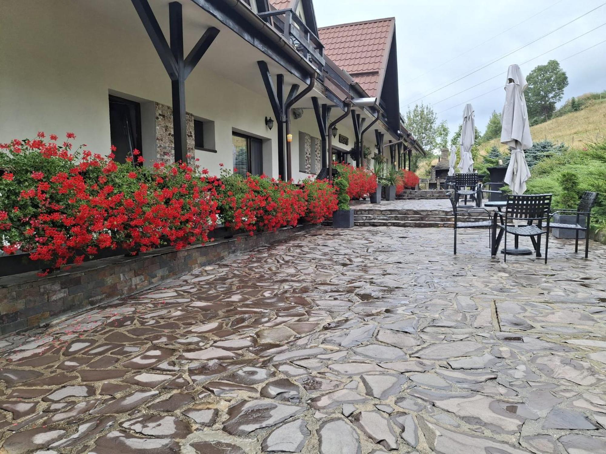 Contele Vladimir Hotel Törcsvár Kültér fotó